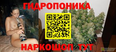 spice Ставрополь