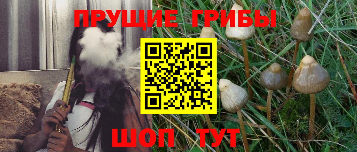 Новоуральск  Псилоцибиновые грибы Magic Shrooms  Галлюциногенные грибы прущие грибы  Вход с VPN 